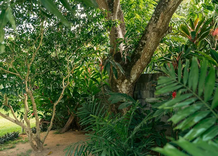Beau Vallon Bungalows Guest house