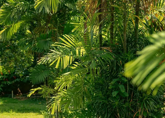 Beau Vallon Bungalows Guest house 3*
