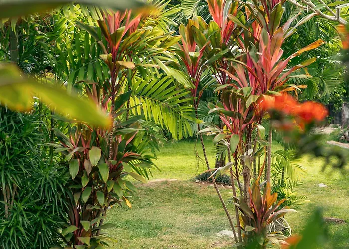 Guest house Beau Vallon Bungalows Beau Vallon (Mahe)