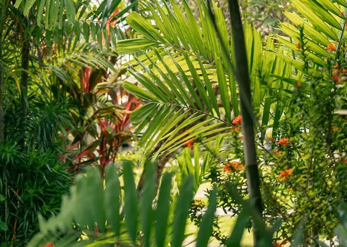 Guest house Beau Vallon Bungalows 3*